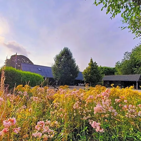 B&B Mooi Montferland 3*